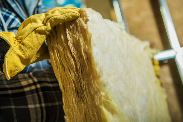 Types of Insulation We Offer in Forks, WA