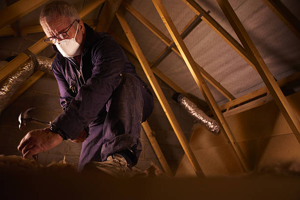 Best Geographic-Specific Insulation Services in Forks, WA
