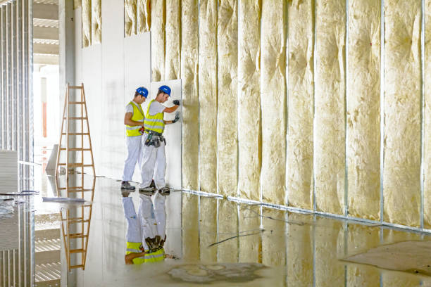 Types of Insulation We Offer in Forks, WA